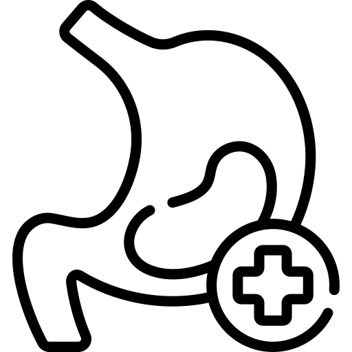 žaludok